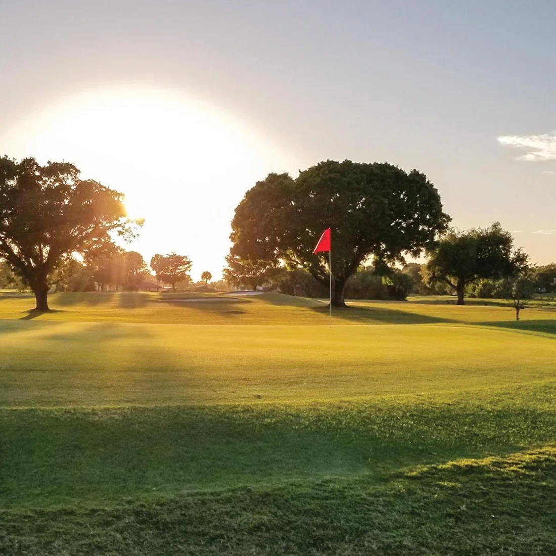 whiskeygolf green 01