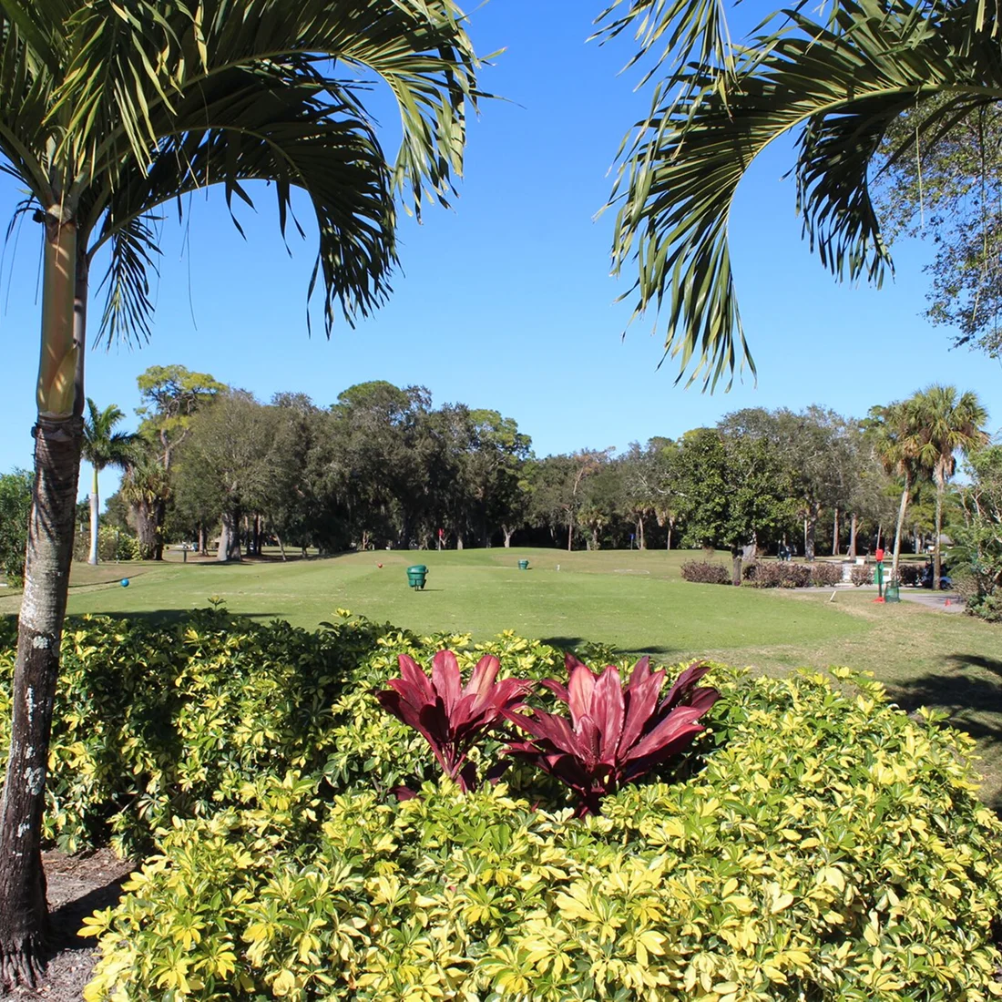 whiskeygolf green 12